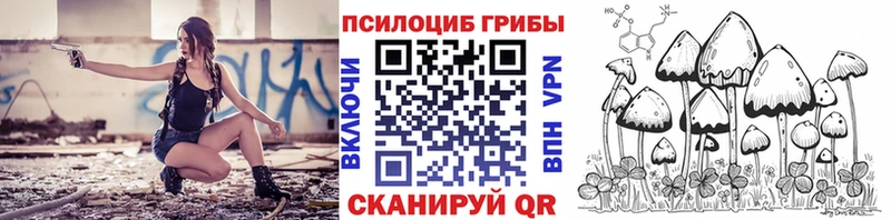 что такое   Озёры  Галлюциногенные грибы ЛСД 